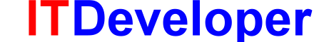 IT Developer