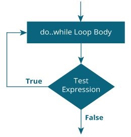 C do...while loop