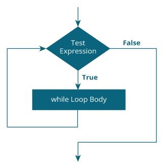 C while loop